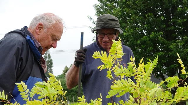 Planting the carpark